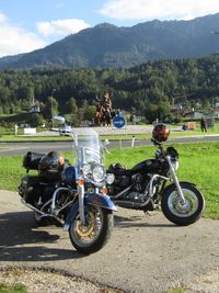 Finkenstein, Harley-Skulptur, Road Kind Classic, Sportster XL 1200 C, Straßenkönig
