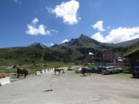 Kühtai, Kühe, Pferde, Tierparadies, Motorradurlaub 2020 Tirol